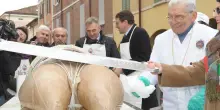 L’addio a Carlo Bortolamasi con il rombo del trattore Landini
