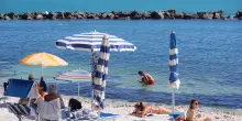 Alga tropicale ad Ancona. Divieto di balneazione: "Può essere pericolosa"