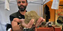 Tartufesta a Sasso Marconi, 2 weekend di festa: quando assaggiare i prodotti tipici dell’Appennino