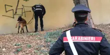 Comitati uniti in assemblea: "Illegalità diffusa e degrado. Basta, la nostra città merita di più"