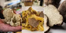 Fiere e feste del tartufo 2025 nelle Marche: degustazioni e show cooking