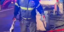 Scooter si incendia davanti al semaforo