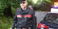 Schiacciati dal vento. Pini abbattuti dalle raffiche cadono su auto e strade. Oltre cinquanta interventi