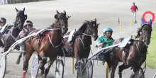 Tqq Premio Teleromagna stasera al Savio