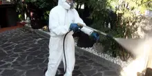 Chikungunya, caso sospetto a Lugo: via alle disinfestazioni