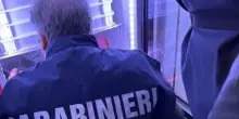 Ragnatele e grasso stratificato, scatta la multa per la pasticceria