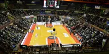 La società contro gli aggressori: "Fuori dai palasport per sempre. Per noi un grave danno economico"