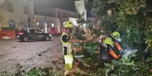 Troppi pericoli sulle strade. Obbligo dei 30 all’ora in tutta la città fino a sabato