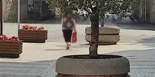 Cittadini adottano le fioriere