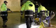Giunta e consigli di zona, firmata l’intesa