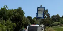 Schiacciato dal trattore mentre lavora nell’orto: uomo ferito gravemente