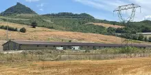 Allevamento polli, il comitato punta il dito contro il Comune