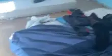 Ladri e occupanti abusivi. Una gang a Cesenatico