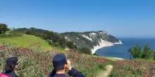 Fuochi accesi, via alle multe. Ed è subito caos per i parcheggi