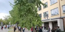 Petardo esplode in aula al Serra. Lanciato attraverso una finestra, studenti terrorizzati ma illesi