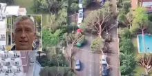 Milano Marittima dopo la bufera: “Non rinunceremo ai nostri pini”