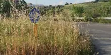 La Mezzina in abbandono. Mentre si discute sui tagli crescono i disagi sulle strade