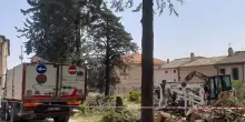 Tagliata una pineta, protesta dei cittadini contro il Comune