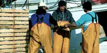La Casa del pescatore celebra 80 anni di ’Mare & Cooperazione’