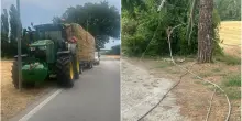 Cavo Telecom tranciato da un trattore, Santa Maria dell’Arzilla resta senza internet