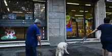 Libreria Ulisse nel mirino: "Sparito il fondo cassa"