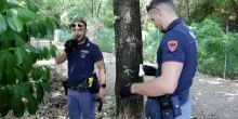 Vende droga al distributore: ricostruito un anno di spaccio