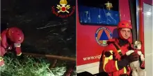 La storia a lieto fine del cagnolino bloccato nell’insenatura di un canale