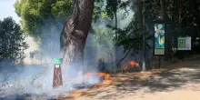 Incendio al parco Miralfiore di Pesaro, a fuoco una parte di bosco