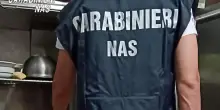 Macellazione di carni clandestina. Scatta la sanzione da 5.500 euro