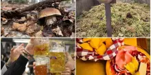 Le 10 sagre più gustose in Emilia Romagna per un weekend speciale con i sapori d'autunno