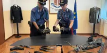 Automobilista scoperto con armi e cinque tartarughe protette