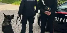 Correggio, sospettato di spaccio nell'area delle scuole