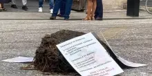 Letame e volantini offensivi davanti al tribunale di Ancona: indagini in corso
