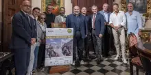 Torna il ’Città di Ascoli’. Concorso ippico, ci siamo. Tre giorni allo Squarcia