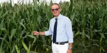 Debutta progetto pilota: "Agrivoltaico, ci siamo. Coltiveremo tra i pannelli"