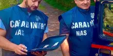 Blitz dei Nas nelle locande in Appennino