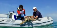 Microplastiche e crisi climatica: "Ondate di calore tropicali. Ma non è tutto perduto"