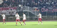 Maceratese, guarda avanti: "Ripartiamo a testa bassa"