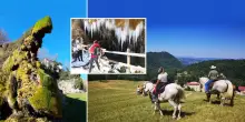 Torna il 'Festival dei sentieri': a passeggio tra natura e storia