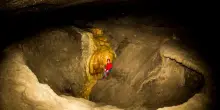 Passeggiate e trekking alla scoperta di parchi, grotte e insetti: avventure per tutte le età