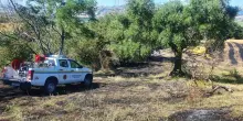 Rogo nella zona di Castelnuovo. Super lavoro per domare le fiamme