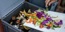 Cibo e spreco alimentare: Bologna, Reggio Emilia e Pesaro tra le città più virtuose