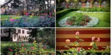 Rose da ammirare in Emilia-Romagna: quali parchi e giardini visitare