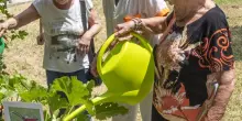 Orti che curano: il progetto dedicato agli anziani