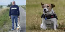 La storia del sindaco Mario Mantovan, eletto grazie ai voti del suo cane Thor: il Tar li conferma