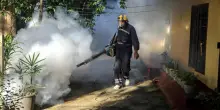 Chikungunya, salgono a sei i casi accertati. Sospetti su altri, si cerca il ’paziente zero’