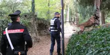 Spaccio e bivacchi nei parchi. In arrivo controlli a tappeto. Sale la paura: "Zone fuori controllo"