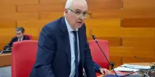 Censimento e controllo dei cormorani. Approvata la mozione di Gianella