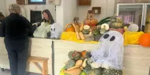 Non solo Halloween C’è il boom delle zucche