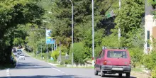 Le auto sfrecciano, gli animali muoiono